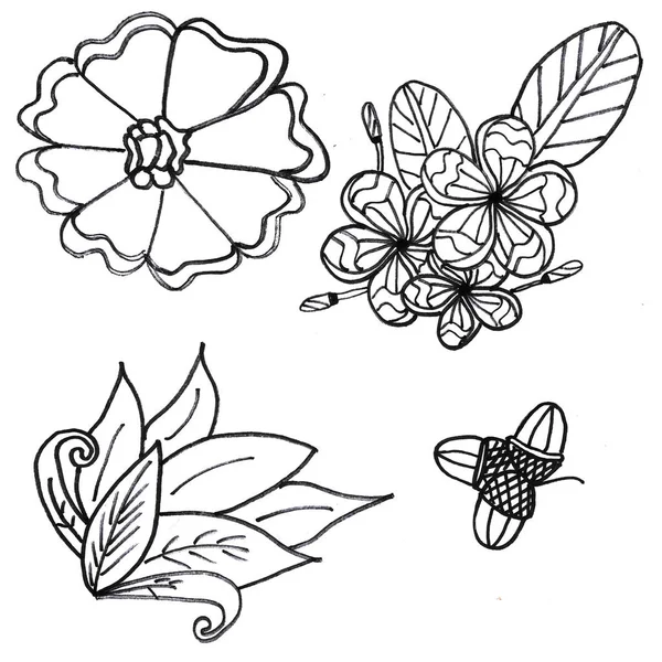 Illustration Coloring Flowers Bush Leaves Acorns Three Pieces — Zdjęcie stockowe