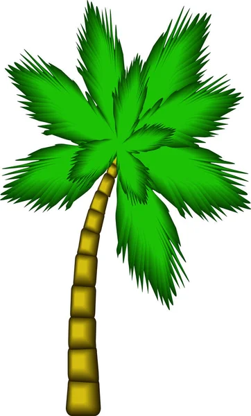 Träd Palm Isolat Vit Bakgrund Vektor Ritning — Stock vektor