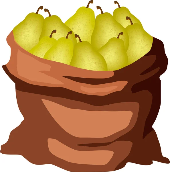 Volle Tüte Birnen Isolieren Auf Weißen Vektor Zeichnung Nützliche Früchte — Stockvektor