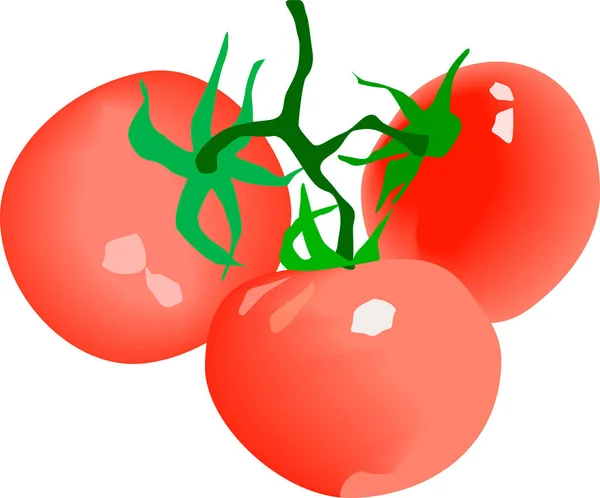 Tomates Sprig Vermelho Três Partes Isolado Branco — Vetor de Stock