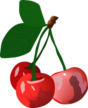 bir dalda kiraz Yapraklı üç parça