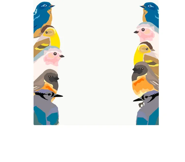 Frame Many Birds Robin Sparrow Bullfinch Songbird Large Tit Vector — Wektor stockowy
