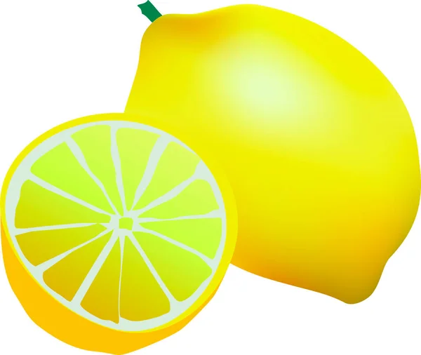 Свежие лимоны, фрукты, лимон с ломтиком цитрусовых на белом фоне. Тропические фрукты. — стоковый вектор