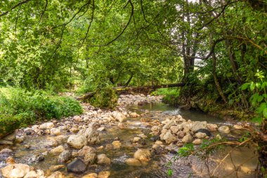 Sırbistan 'ın orta kesiminde Dağ Nehri Skrapez