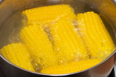 Koçanda haşlanmış taze mısır.