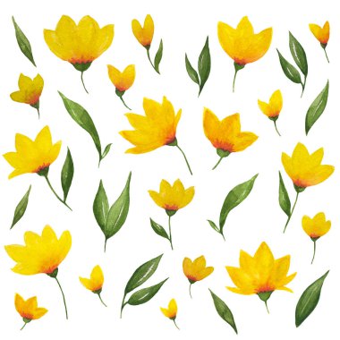 Suluboya el sarıya boyanmış çiçekler, beyaza izole edilmiş yapraklar. Modern suluboya çiçek koleksiyonu. Suluboya çiçek ve yapraklar..