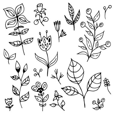 El yapımı bitkiler. Bir çiçeğin karalama resimleri. Ağlar için çiçek vektörü, tekstil, kartpostallar, parmak izleri. Özet bitkiler, yapraklar, çiçekler.