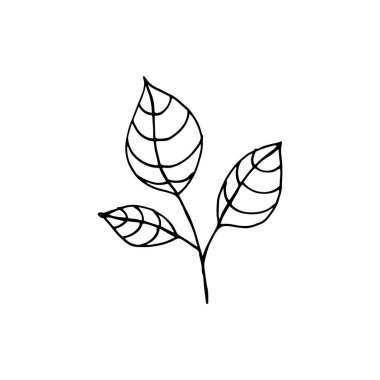 El yapımı bitki. Bir çiçeğin karalama resmi. Ağlar için çiçek vektörü, tekstil, kartpostallar, parmak izleri. Özet bitkiler, yapraklar, çiçekler.