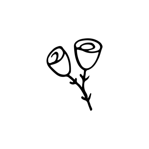 Yapımı Bitki Bir Çiçeğin Karalama Resmi Ağlar Için Çiçek Vektörü — Stok Vektör