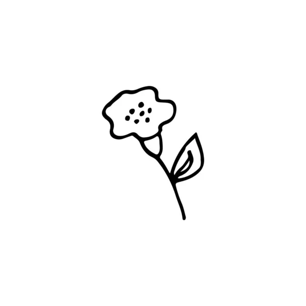 Planta Desenhada Mão Doodle Imagem Uma Flor Vetor Floral Para —  Vetores de Stock