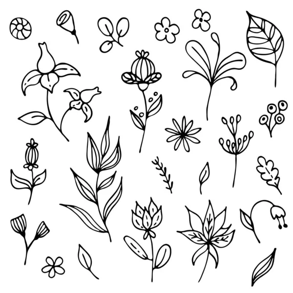 手描きの植物のセット 花の人形のイメージ ウェブ ポストカード プリント用の花ベクトル 抽象植物 — ストックベクタ