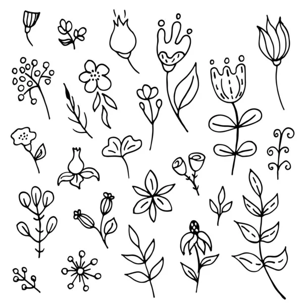 Set Hand Drawn Plants Doodle Images Flower Floral Vector Web — Stock Vector