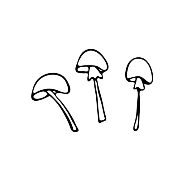蘑菇的涂鸦形象 纺织品 假日之间的假期 简单的黑白照片 — 图库矢量图片