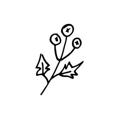 Noel ağacı dalları. İnternet, baskı, tatil posterleri ve kartlar için resim. Yeni Yıl.