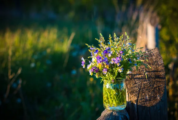 Summer bouquet of wild pansies in vase on sunset background