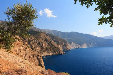 Zeytin ağaçları ile güneşli güzel kayalık sahil. İyon Denizi, Kefalonia, Yunanistan