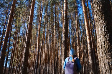 Ormanda sırt çantası ile geri görünüm genç kadın