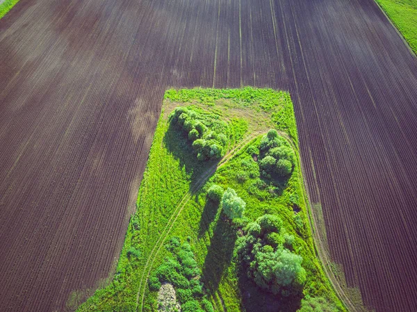 Aerial Rural View Green Fields Trees — Stock Photo, Image