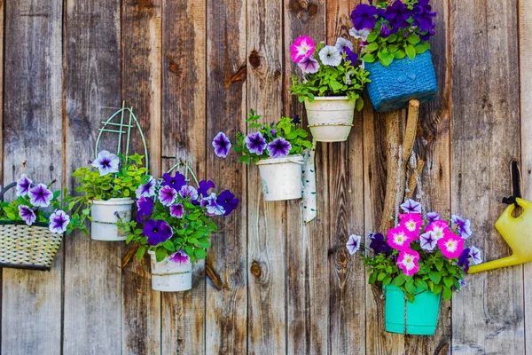 Blumen Töpfen Der Holzwand — Stockfoto