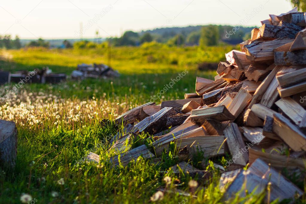 Pile of chopped stack firewood on grass on summer day