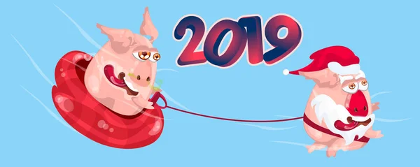 かわいい豚のセット 新しい 2019 年中国のシンボル 白の背景にベクトル画像 — ストックベクタ