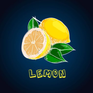 Limon vektör çizim. Yaz meyve sanatsal illüstrasyon. Bütün limon ve dilim izole el çekilmiş.