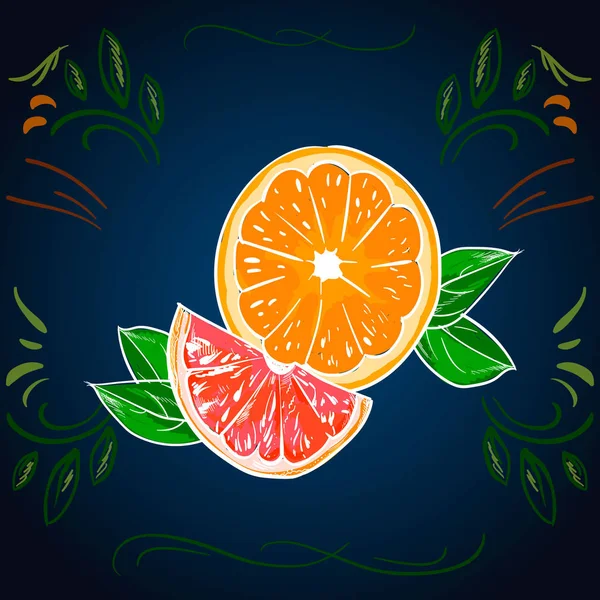 Desenho Vetorial Laranja Ilustração Artística Fruta Verão Isolado Mão Desenhada — Vetor de Stock