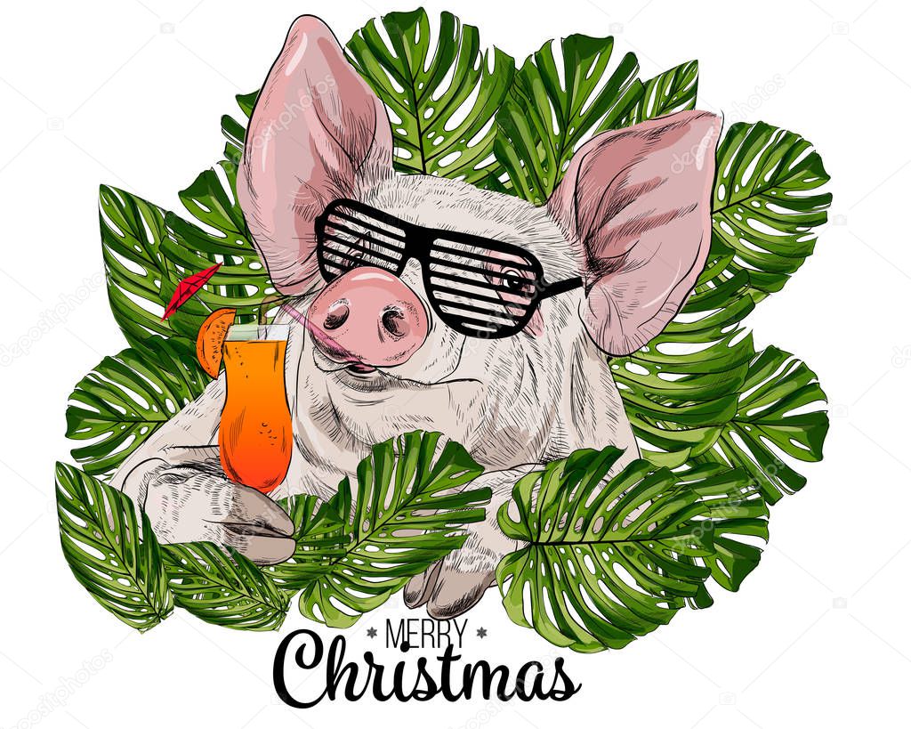 Vector cute pig in palm leaves. Pig in glasses with a cocktail in his hand. New year symbol 2019.