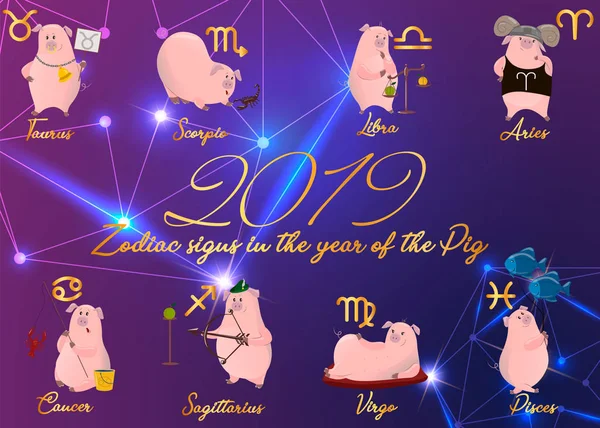 一套可爱的卡通黄道带猪 矢量插图黄道带符号 猪收集 — 图库矢量图片