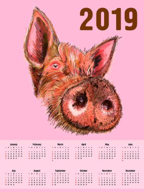 Yaban domuzu desenli Başkanı. Domuz. Domuz. 2019 sembolü. Takvim kapak. Bu ve benzeri bir t-shirt, çanta, kartpostal, poster tasarımı için kullanılabilir.