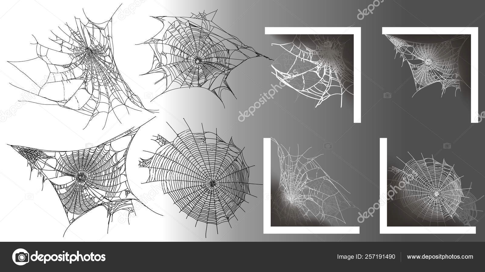 手染屋 吉兵衛 志毛引染 蜘蛛の巣 紗 夏小紋 未使用品 正絹, image size:1600x900