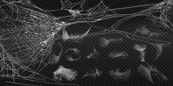 Συλλογή από ιστούς αράχνης, απομονώνονται σε μαύρο, διαφανές φόντο. Αραχνιά για Απόκριες σχεδιασμός. Στοιχεία web αράχνη, τρομακτικά, τρομακτικά, φρίκη Απόκριες διακόσμηση. Χέρι συρμένο σιλουέτα, εικονογράφηση διάνυσμα — Διανυσματικό Αρχείο