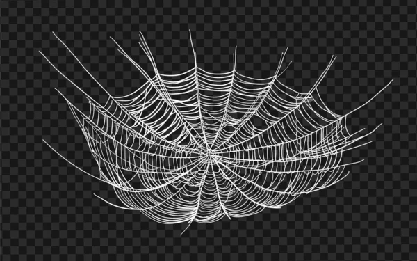 Halloween Monochrome Spider Web Spiders Isolated Black Background Hector Venom — Stock Vector