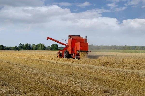 赤のコンバイン穀物畑の作業します 収穫時期 — ストック写真