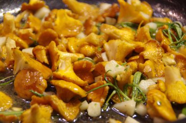 Soğan ve biberiye ile kızarmış Cantharellus cibarius mantar. Vejetaryen gıda pan kızartma.