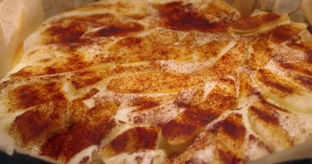 Cake Oven Timelapse Animation Baking Yeast Apple Pie Cinnamon — Stock Video