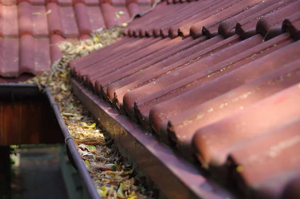 Clogged Gutter Leaves Spring Autumn Cleaning Roof Gutter — Stock Photo, Image