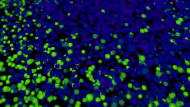 Bolas Brilho Mudando Cores Fundo Abstrato Milhares Partículas Rotativas Animação — Vídeo de Stock