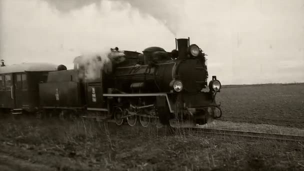 Vieux Trains Voyageurs Circulant Sur Les Voies Ferrées Locomotive Rétro — Video