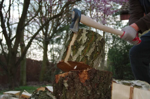 Memotong kayu dengan kapak — Stok Foto
