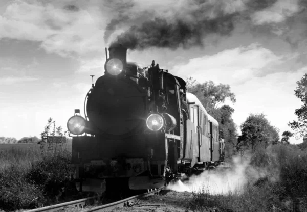 La tosferina y el remedio insólito que se aplicaba hace 70 años en España para esta enfermedad: respirar el humo del tren 12 Merca2.es Un legado cultural y social