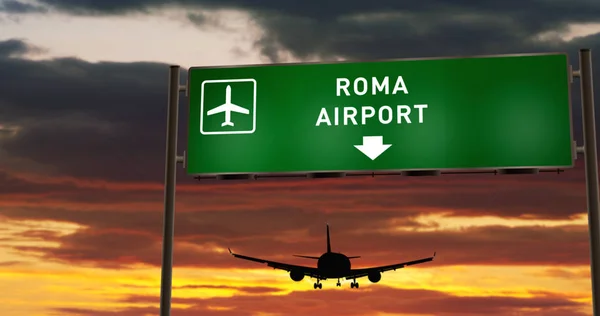 Vliegtuig landing in Roma met uier bord — Stockfoto