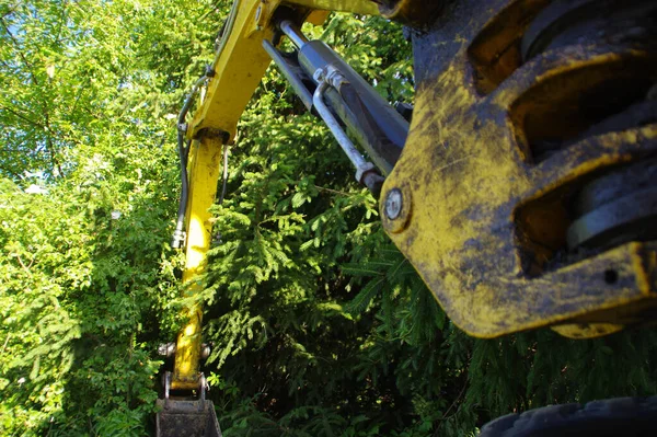 Αποψίλωση Και Οικολογική Καταστροφή Μηχανή Συγκομιδής Δασών — Φωτογραφία Αρχείου