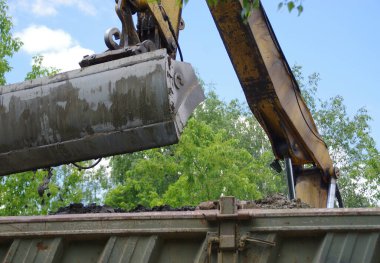 Kazıcı kamyona toprak yüklüyor. Kazı makinesi şantiyede. Ağır endüstri işi.