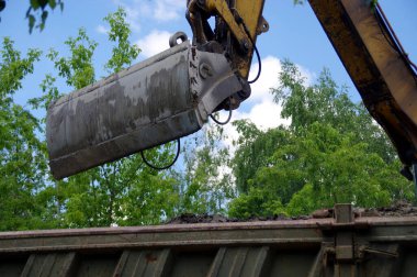 Kazıcı kamyona toprak yüklüyor. Kazı makinesi şantiyede. Ağır endüstri işi.