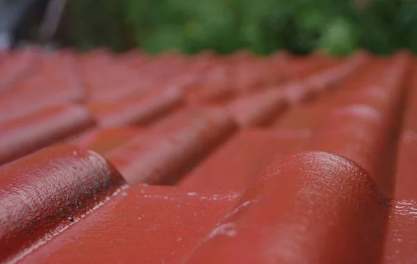 屋根の上にぬれたタイル 雨の中赤が家を覆う — ストック写真