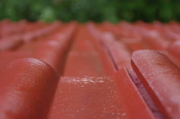 Çatıda Islak Fayanslar Var Kırmızı Yağmurda Evi Kaplıyor — Stok fotoğraf