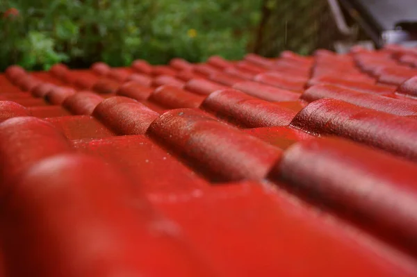 Nedves Csempék Tetőn Piros Fedezze Házat Esőben — Stock Fotó