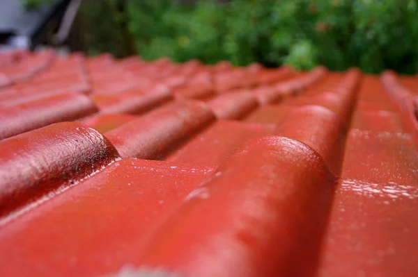 Natte Tegels Het Dak Rood Bedek Het Huis Tijdens Regen — Stockfoto