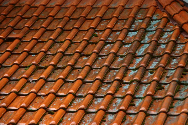 Piastrelle Bagnate Sul Tetto Rosso Coprire Casa Durante Pioggia — Foto Stock